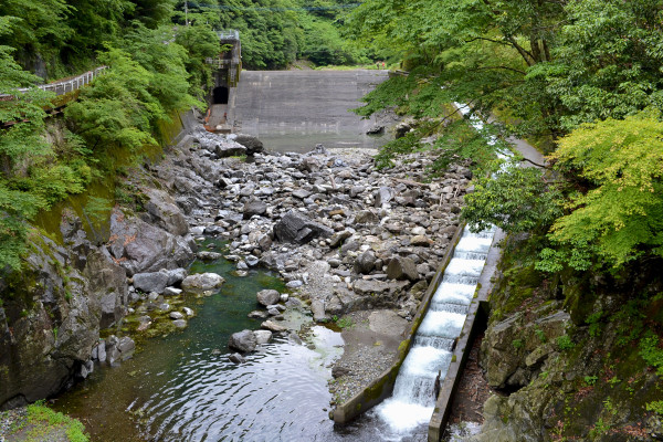 2013-06-09-五木川ダム15
